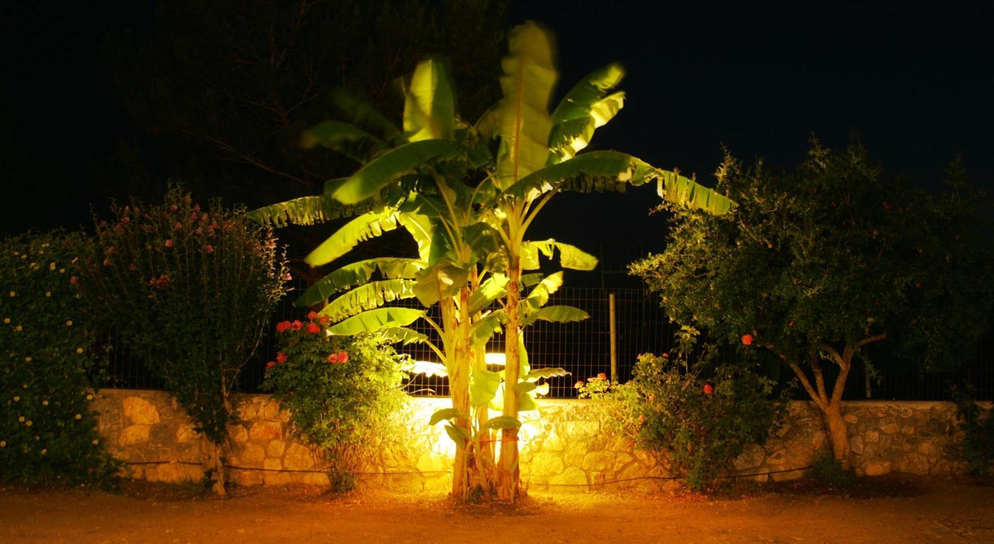 Dora'S House Istrios Exterior foto